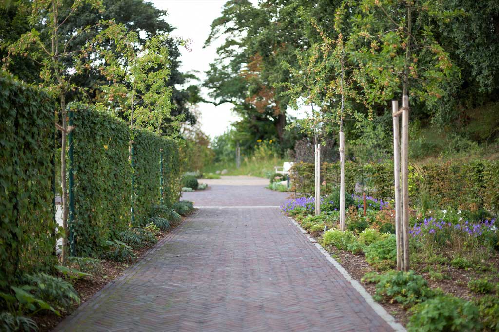 baumrausch Landschaftsarchitektur Trauergarten